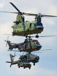 A Chinook in front of a Cougar and an Apache